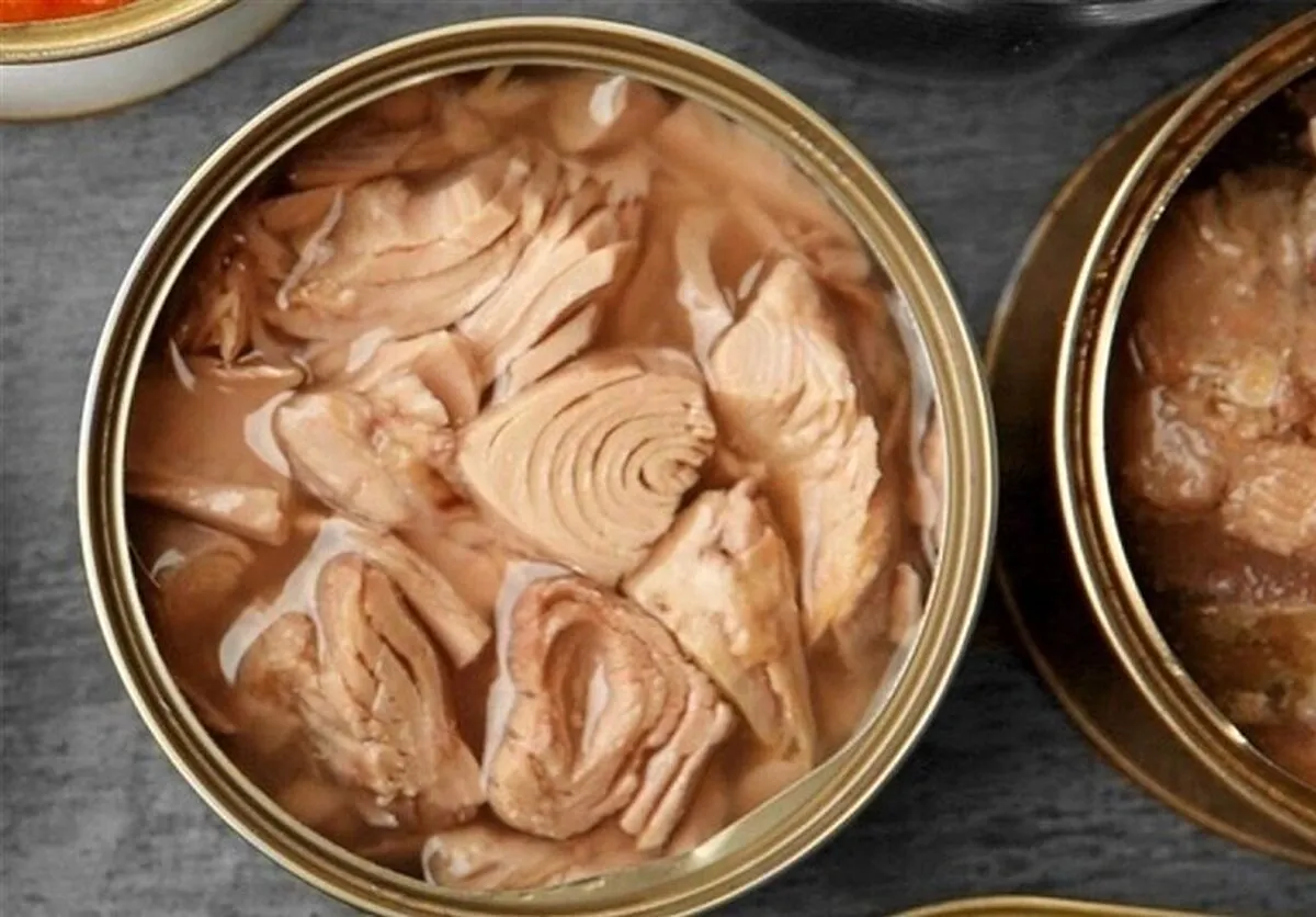 کاهش ۱۰ درصدی قیمت نهایی کنسرو ماهی با حذف مالیات