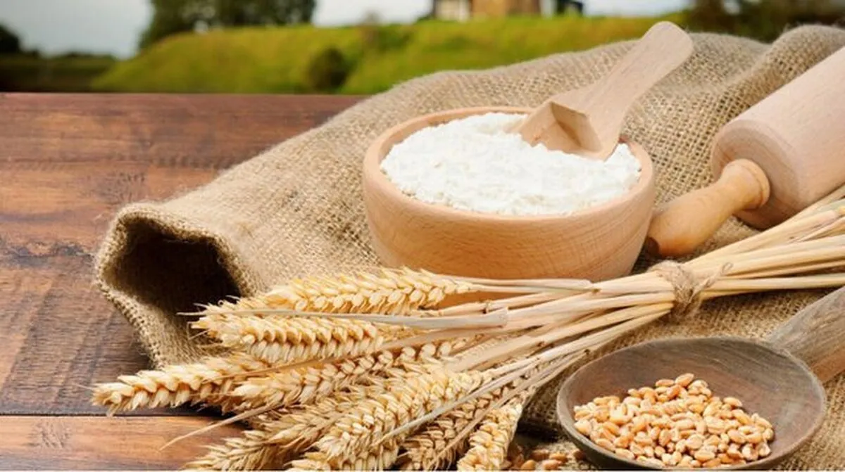 ضوابط صادرات آرد و جو اعلام شد