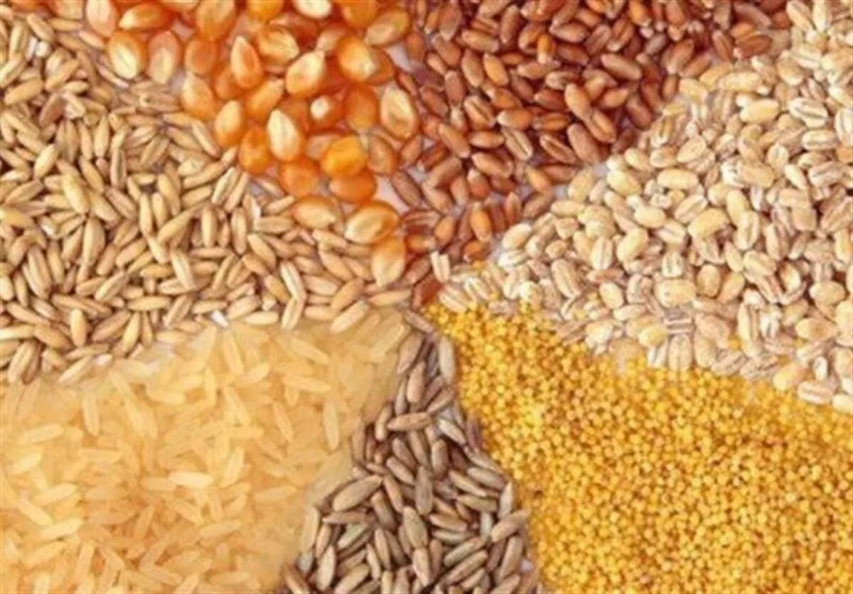 تداوم تخصیص ارز ۲۸۵۰۰ تومانی برای برخی کالاهای اساسی