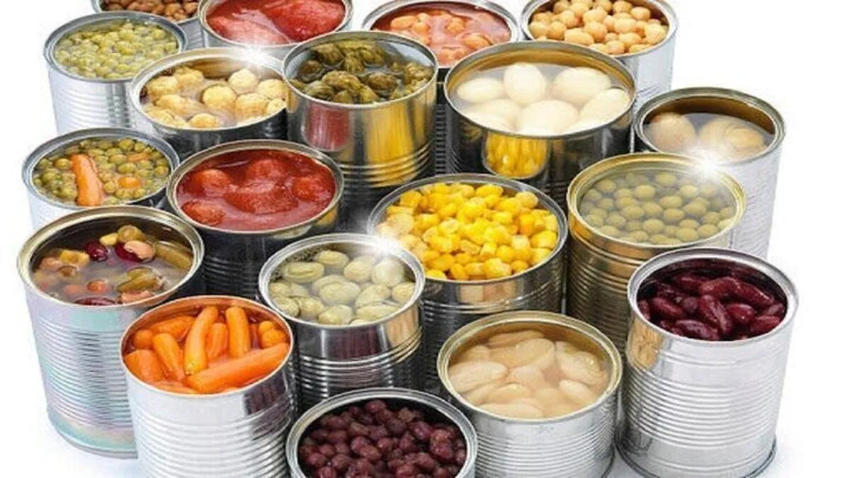 توسعه صنایع تبدیلی نیازمند ۱۷۰ همت اعتبار است