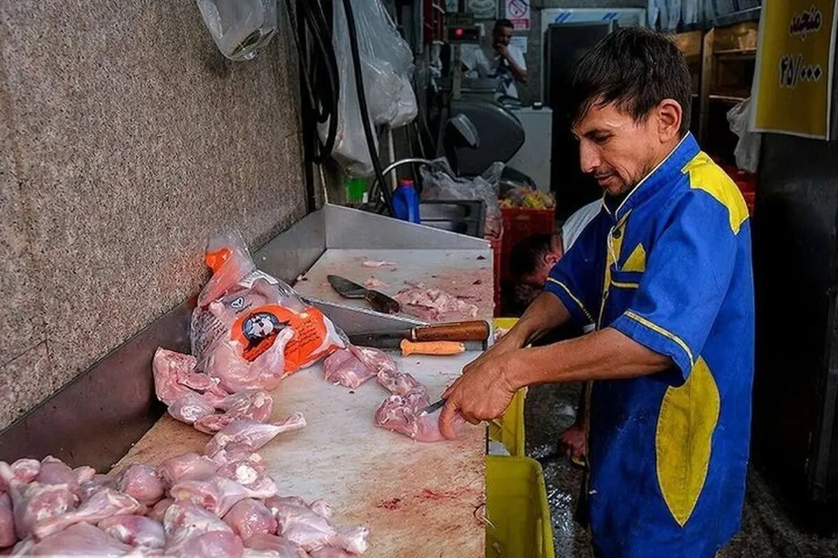 مرغداران هرکیلو مرغ را با ۴۰ هزار تومان ضرر می‌فروشند