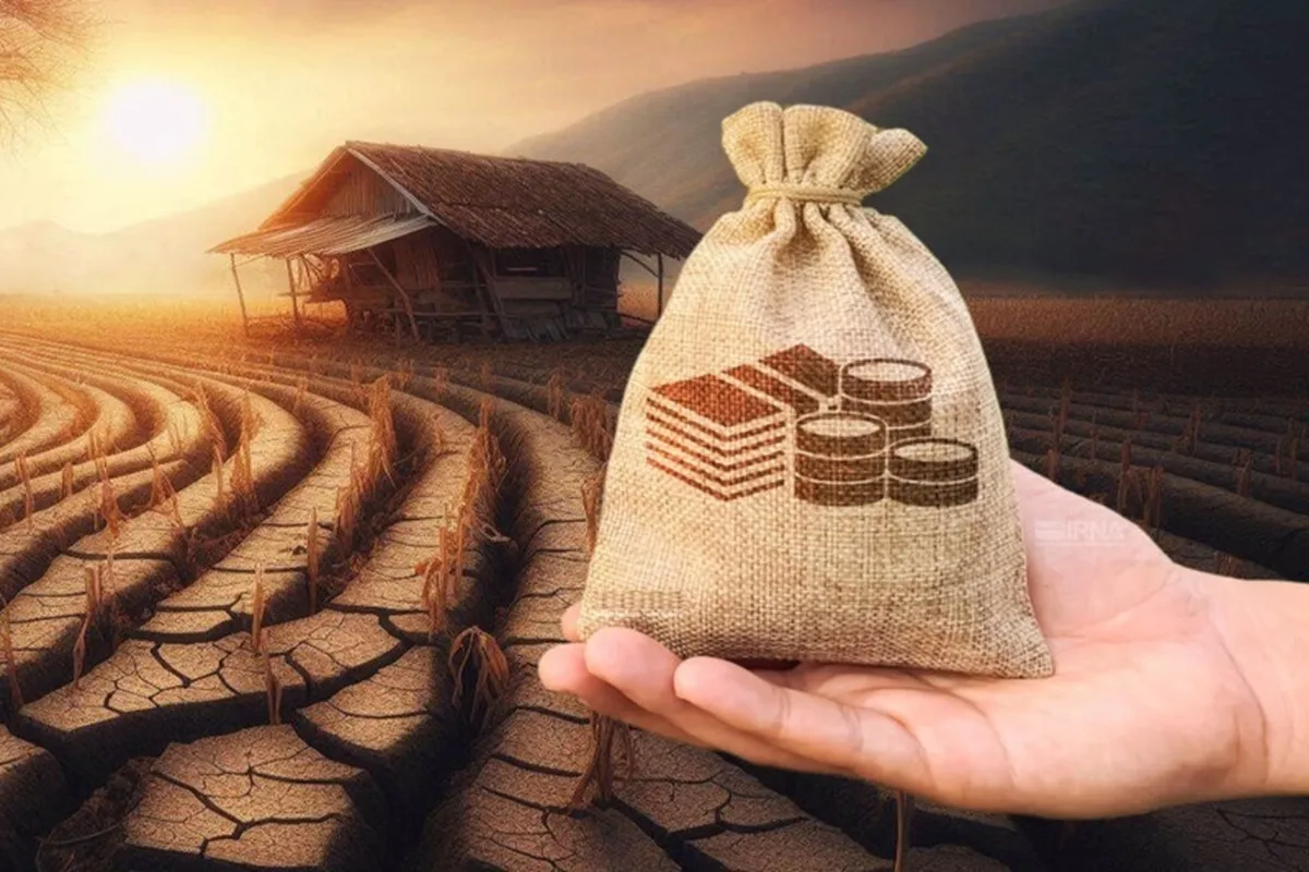 پرداخت ۵.۸ همت غرامت از سوی صندوق بیمه کشاورزی