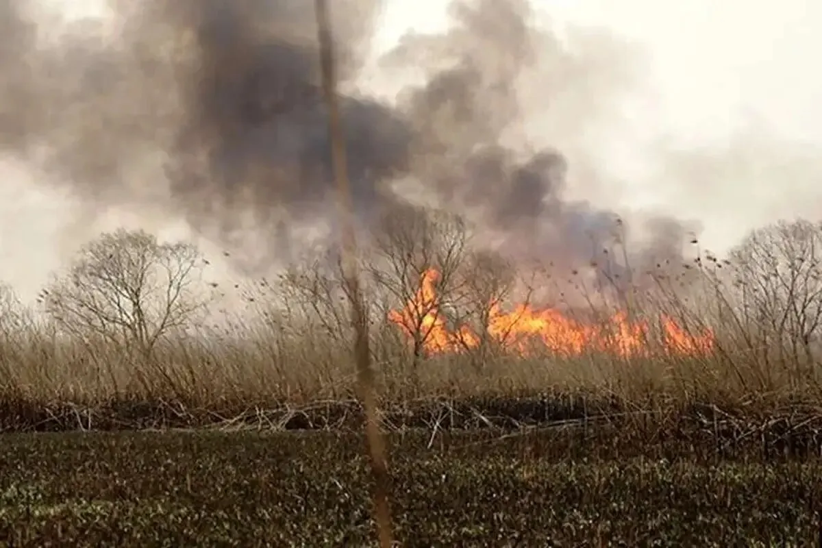 منشا آلودگی هوای خوزستان پیدا شد