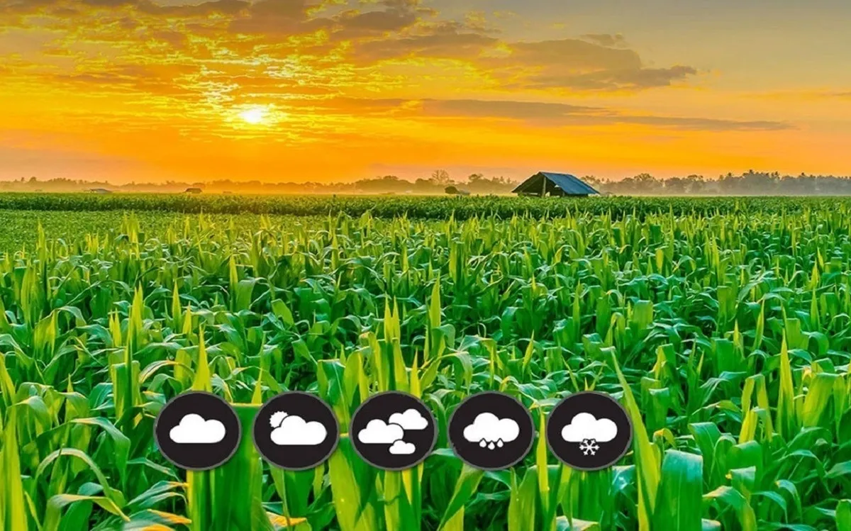 دامداران از مه پاش در سالن‌های تولید شیر استفاده کنند