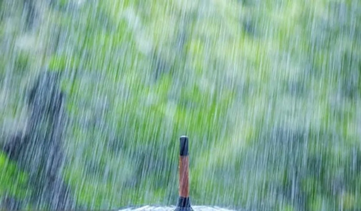 پیش‌بینی بارش در شرق و شمال‌شرق کشور؛ ثبت ۲۵ تا ۵۰ میلی‌متر بارندگی