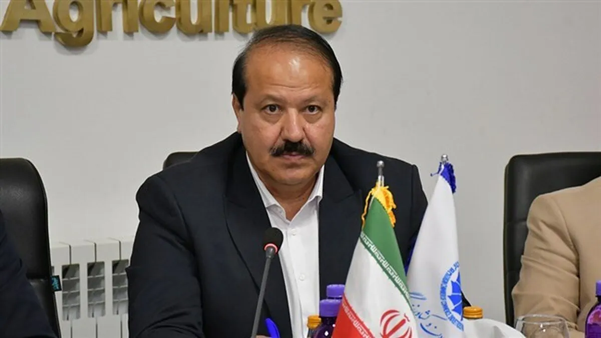 بخش خصوصی برای حفظ پایداری اقتصاد، در میدان حضور دارد