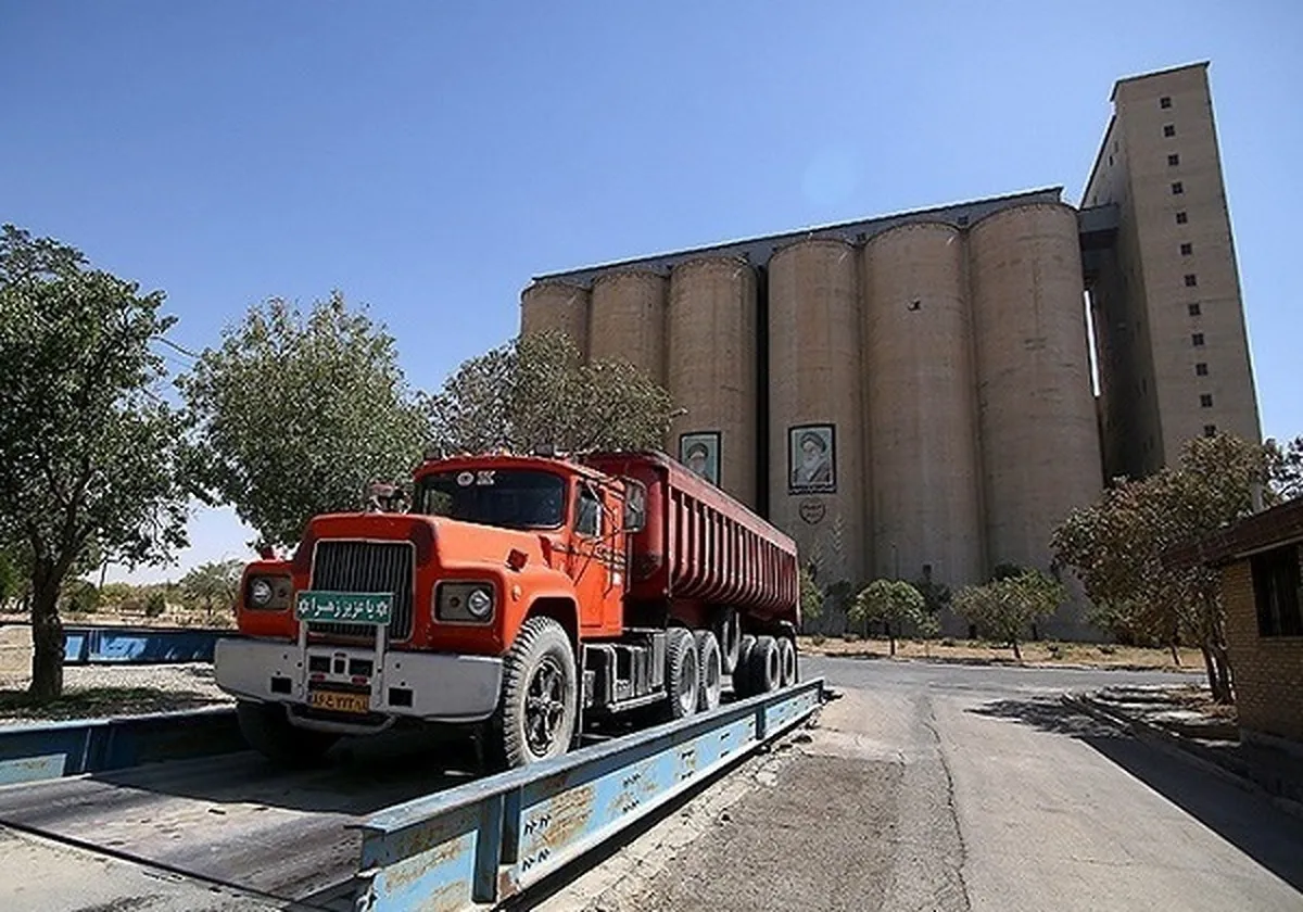 خرید تضمینی گندم از مرز ۵ میلیون تن گذشت