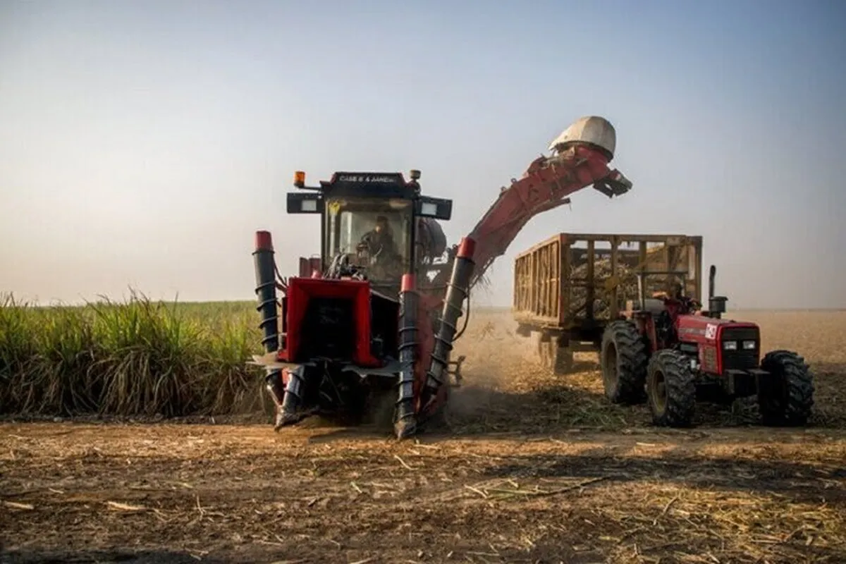 هدف مجلس افزایش سهم کشاورزی از اقتصاد ملی است