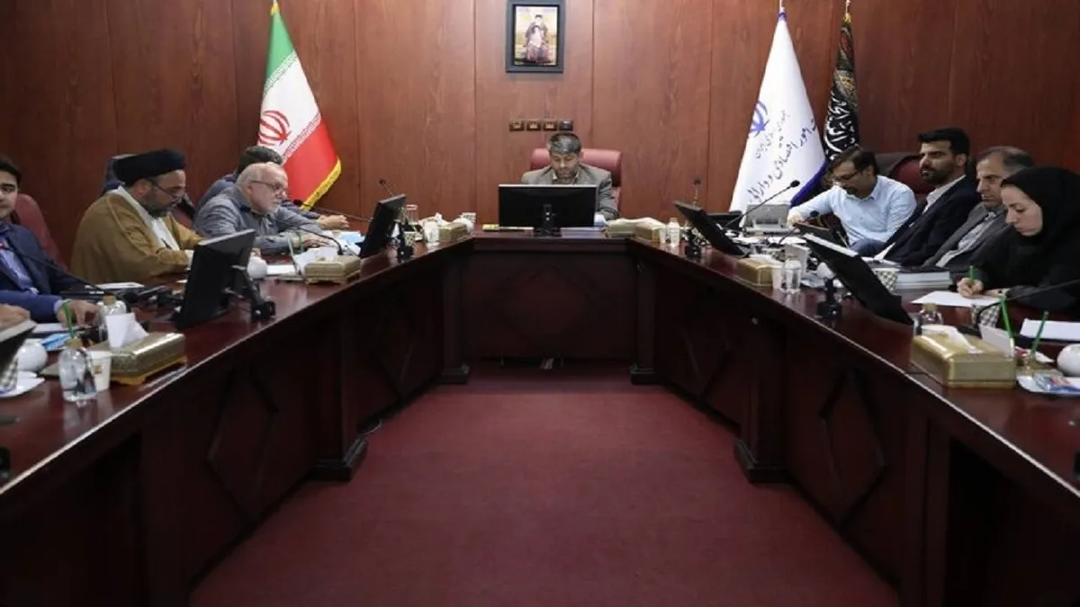 دومین جلسه کمیسیون تخصصی شورای عالی اجرای سیاست‌های کلی اصل ۴۴ برگزار شد