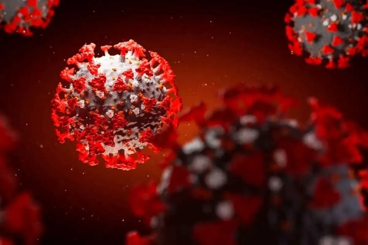 ویروس جدید h۵n۱ چیست؟ + علائم و درمان