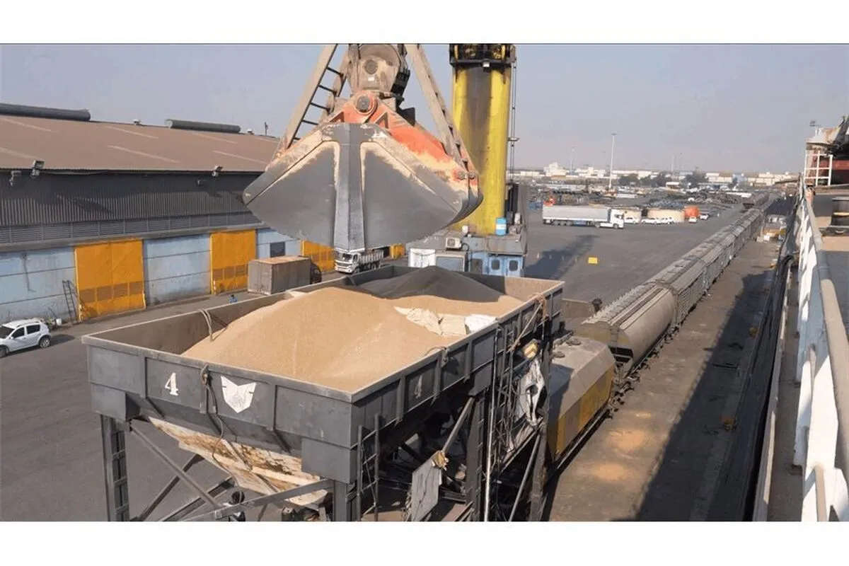 آغاز تخلیه و حمل یکسره گندم از کشتی با قطار پس از سال‌ها در بندر شهید رجایی