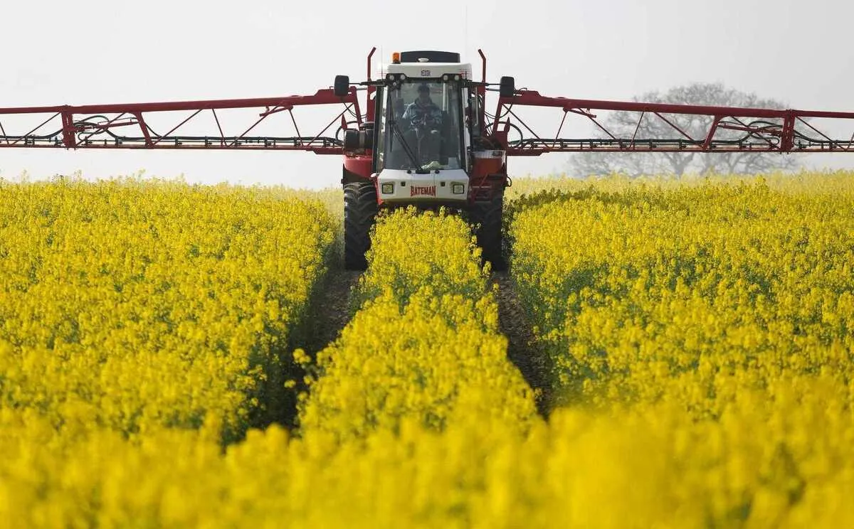 الگوی کشت در بن‌بست/ فقدان آمار دقیق، دشمن پنهان امنیت غذایی