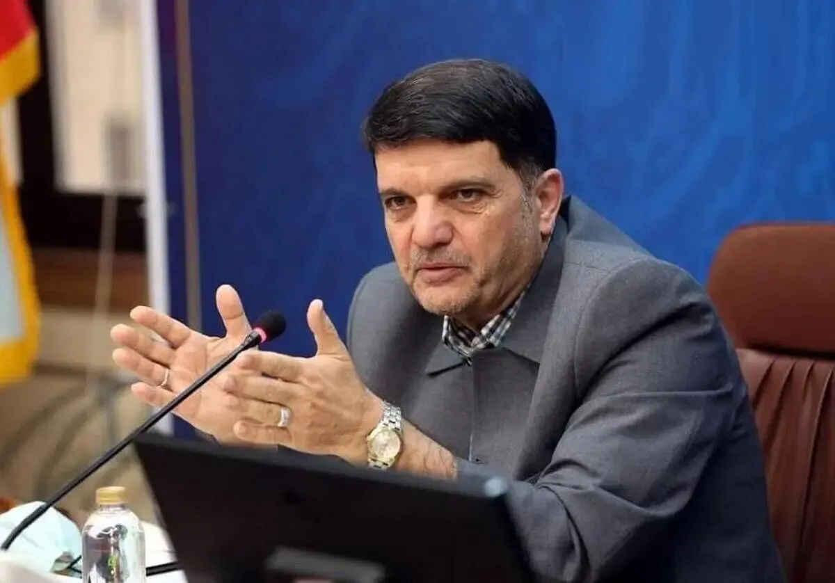 قائم مقام وزیر صمت: اختلال در سامانه جامع تجارت طبیعی است