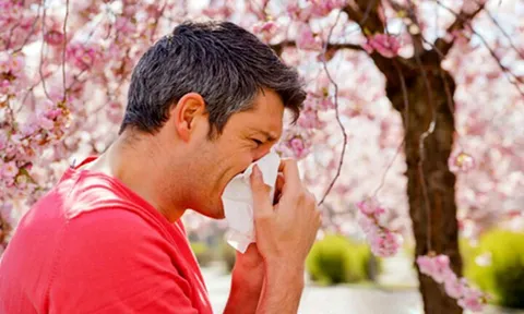 علائم آلرژی بهار؛ چطور درمان کنیم؟