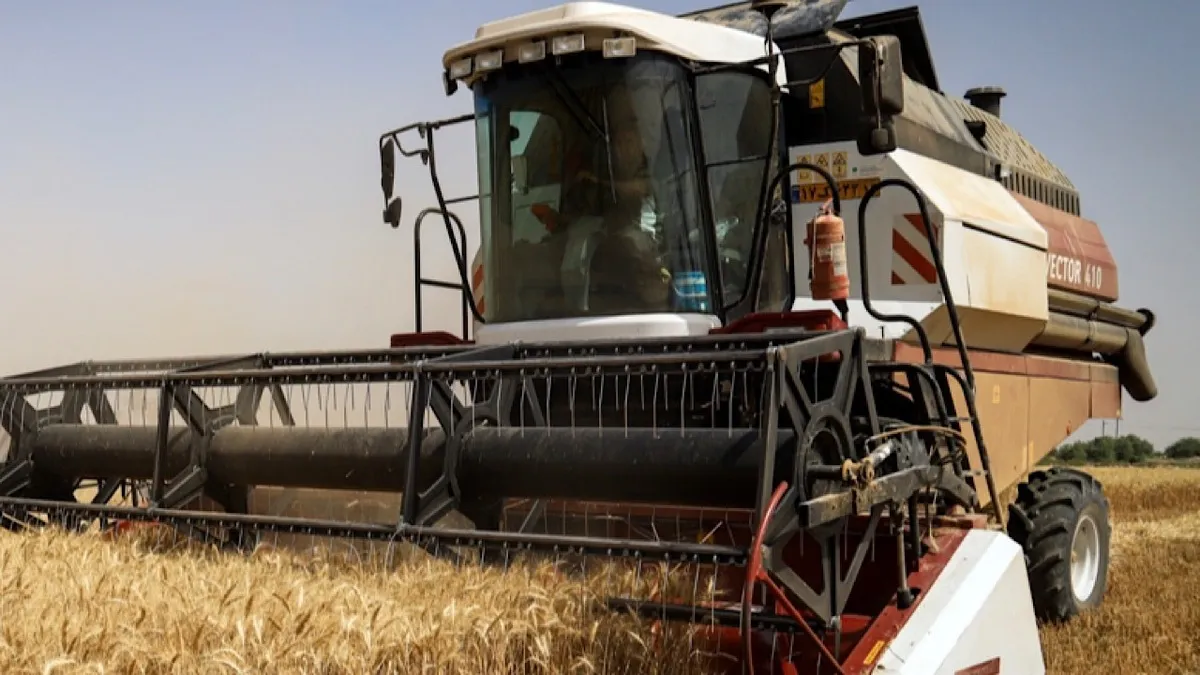 خرید تضمینی ۹۸۰ هزار تن گندم از آغاز فصل برداشت