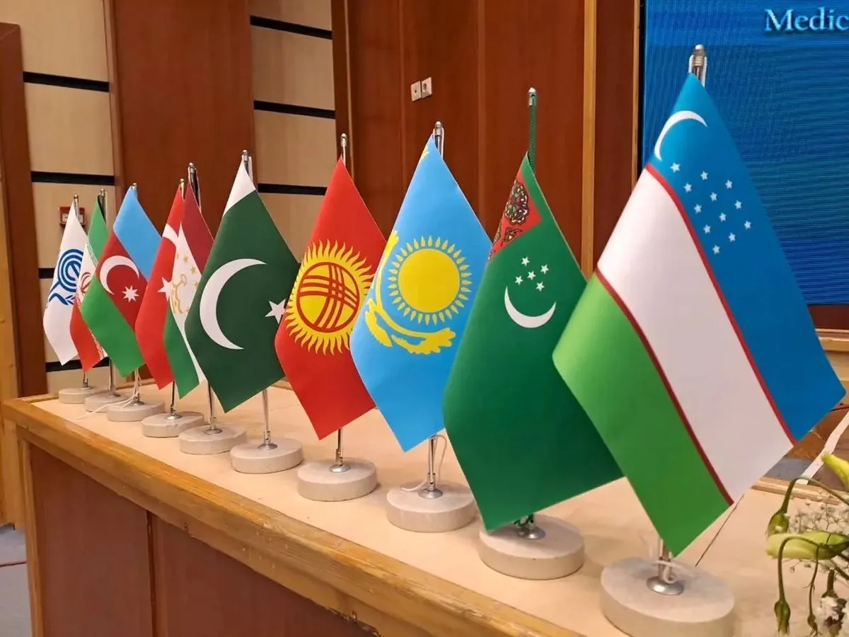 ظرفیت‌های اقتصادی و فرهنگی اکو مغفول مانده است