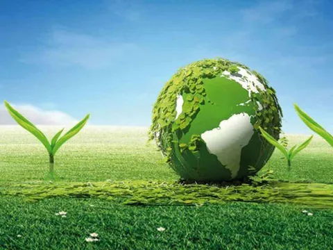 دیدار رییس سازمان منابع طبیعی کشور با سرپرست دفتر برنامه توسعه سازمان ملل متحد