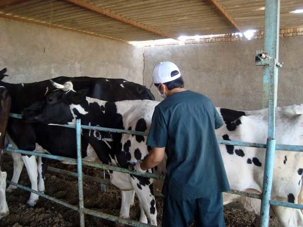 دامپزشکی چطور اقتصاد غذایی کشور را متحول کرد