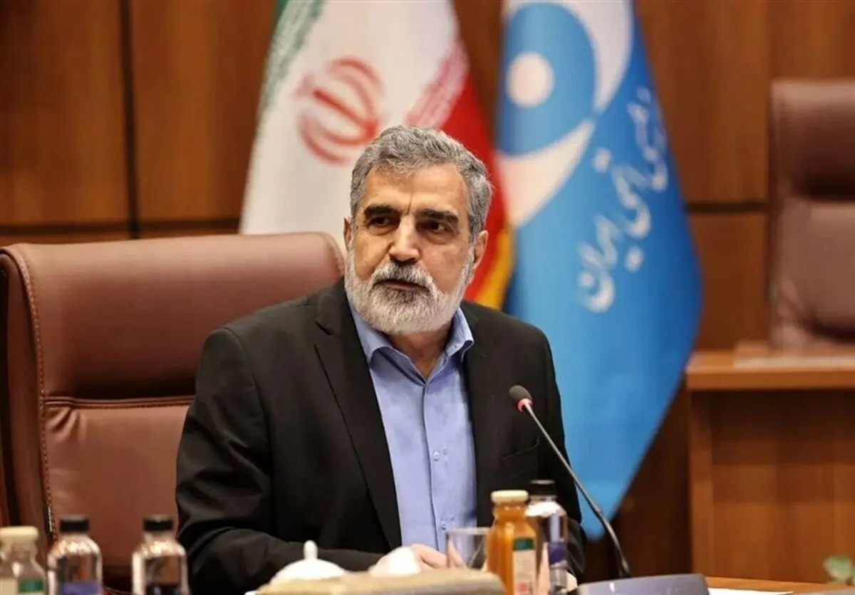 کمالوندی: صنعت هسته‌ای در کشور ما ریشه دارد