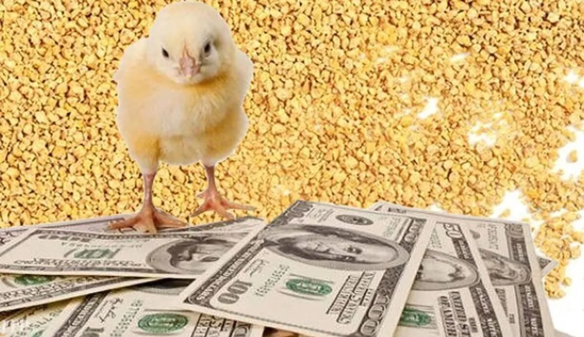 جزئیات طرح جدید تامین نهاده و حمایت از واحدهای تولیدی