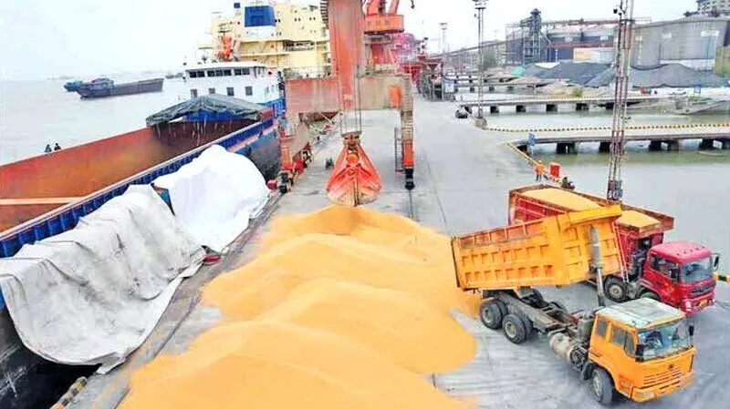 معافیت واردات کالا‌های اساسی از استان‌های مرزی از مجوز ارزی