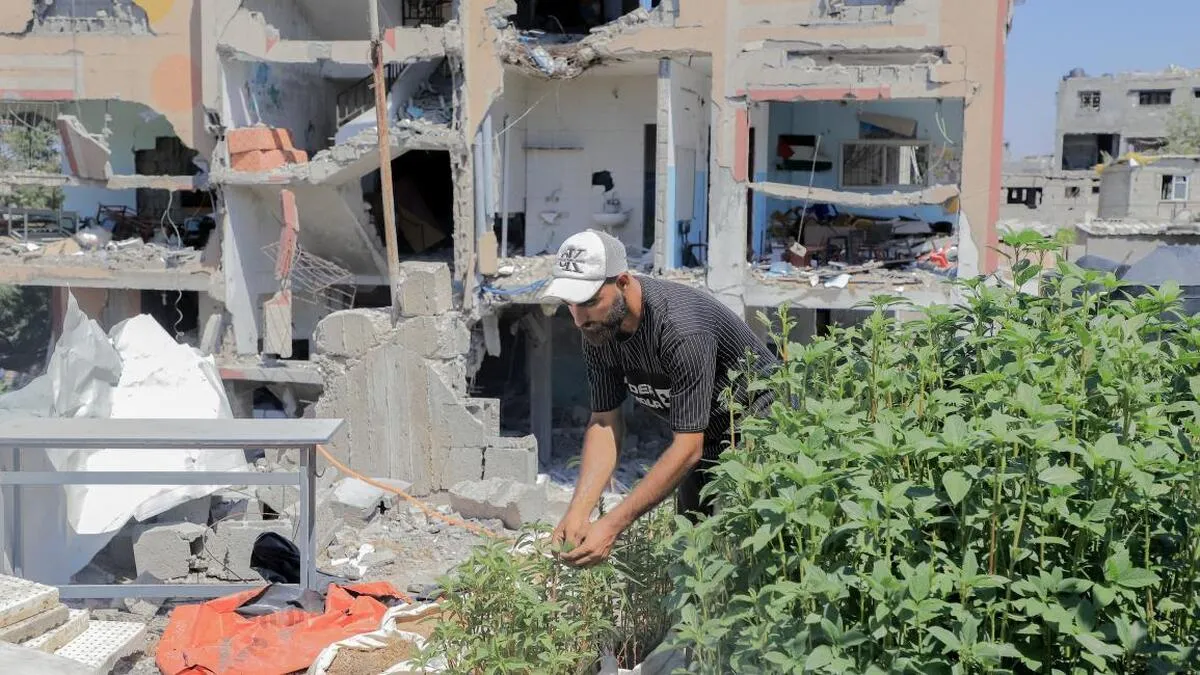 کشاورزی رفح قربانی جنگ‌طلبی نتانیاهو؛ امنیت غذایی غزه چطور نابود شد؟