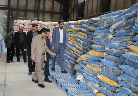 ترخیص ۱۵۰ هزار تن کالای اساسی در یک روز