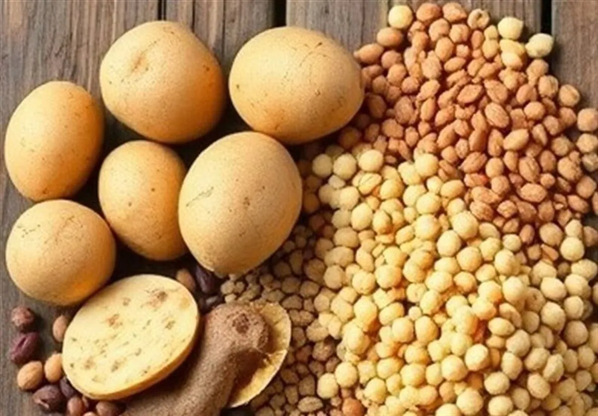 ابلاغ ممنوعیت صادرات حبوبات به گمرکات سراسر کشور