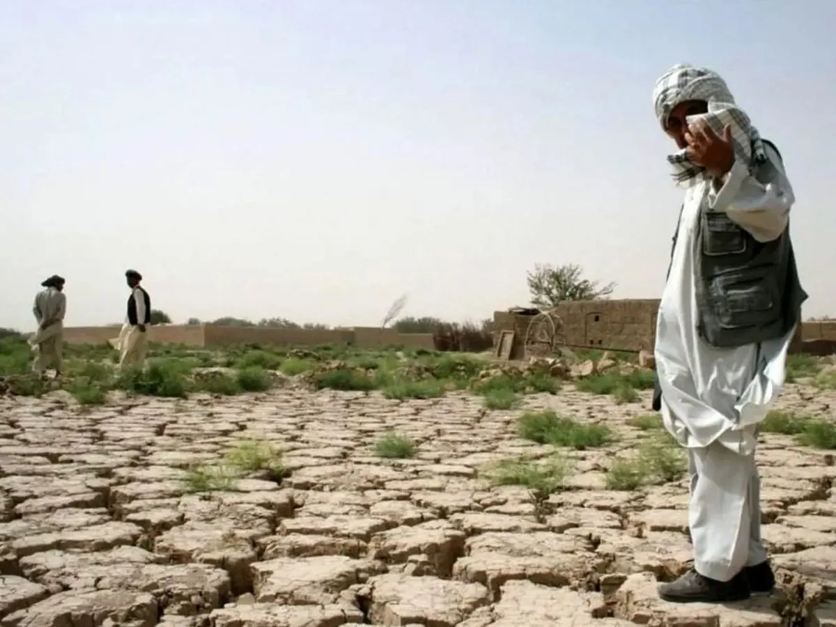 بحران کم‌آبی در کشاورزی؛ فاصله ۶۰ درصدی تخصیص آب با اهداف برنامه هفتم