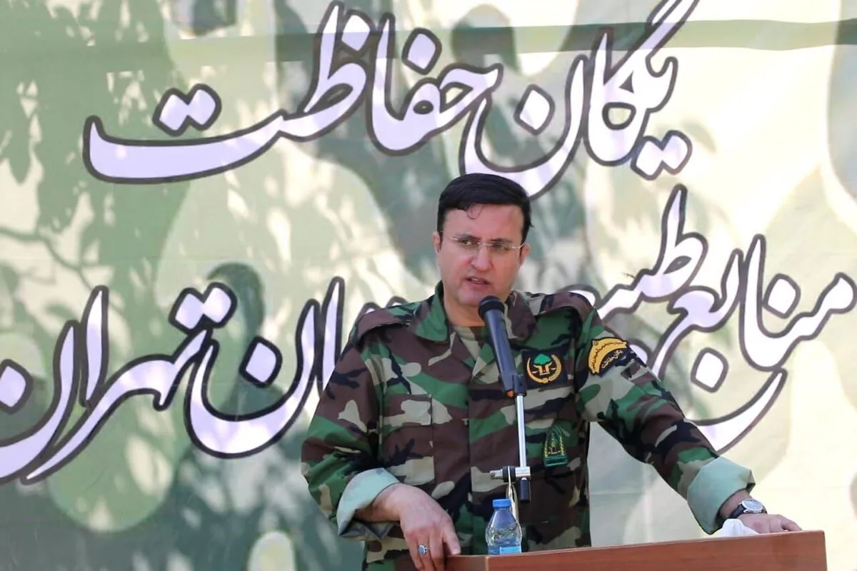 تلاش سازمان منابع طبیعی برای بهبود معیشت جنگلبانان