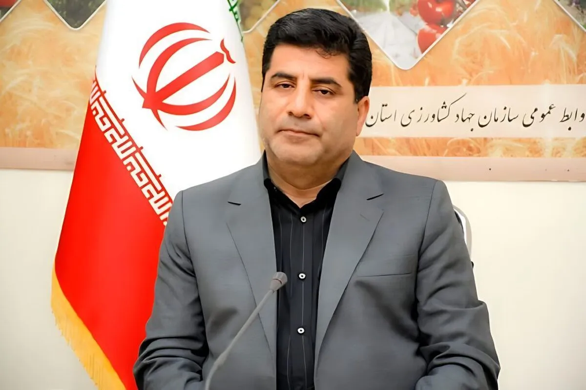 یارانه ۱ میلیونی کل مابه‌التفاوت ارز کالا‌های اساسی را پوشش می‌دهد