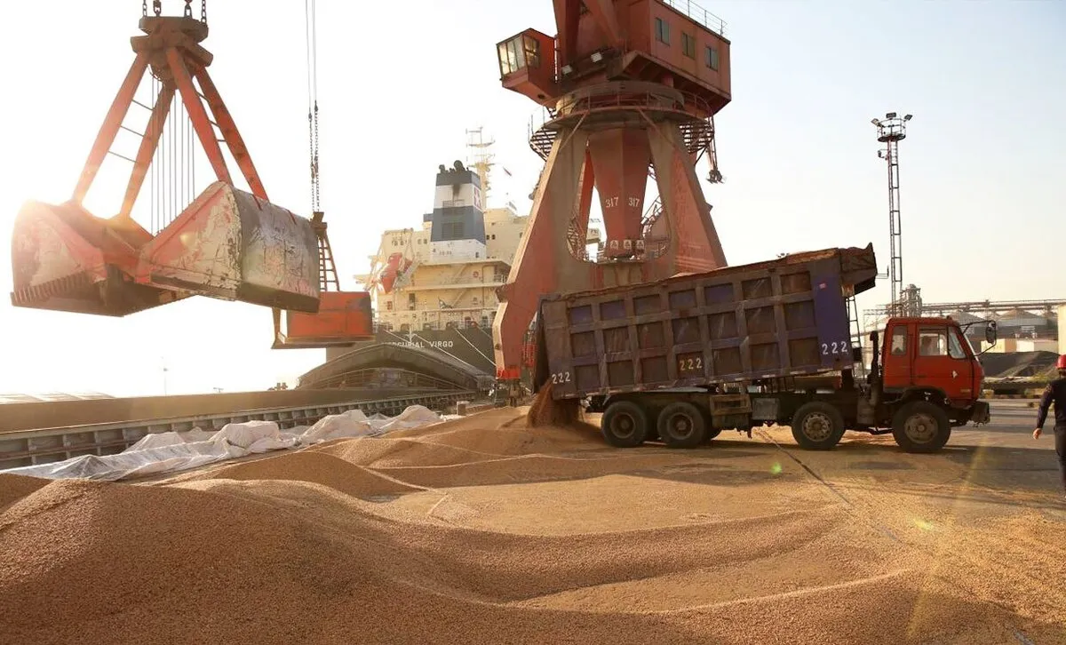 بحران نهاده‌های دامی؛ از نبود مدیریت ارزی تا ناکارآمدی سامانه‌های وزارت جهاد