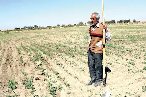 تداوم کشت محصولات آب‌بر، تهدیدی برای آینده کشاورزی کشور