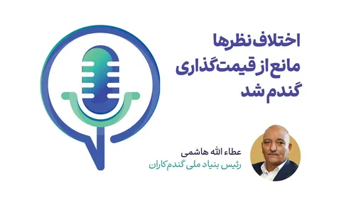 اختلاف نظر‌ها مانع از قیمت‌گذاری گندم شد