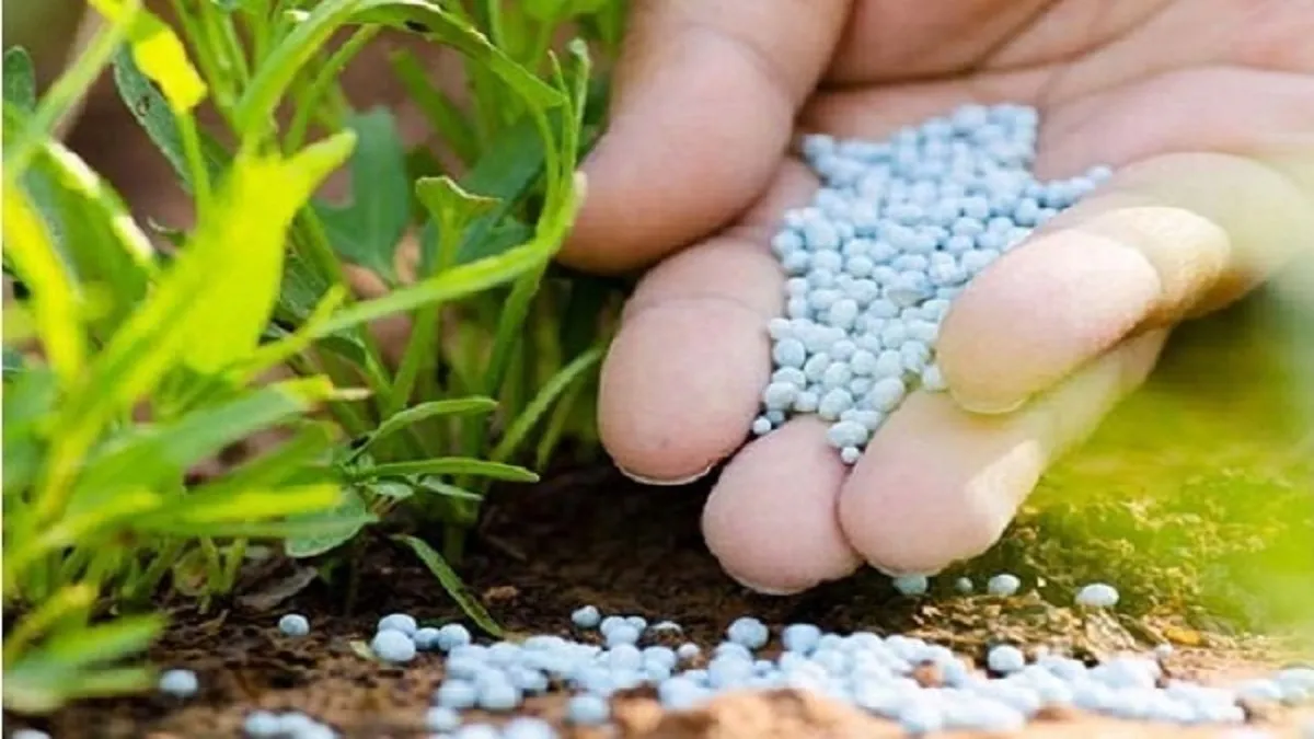 افزایش ۵۰ درصدی عملکرد تولید محصولات اساسی با تامین به موقع کود