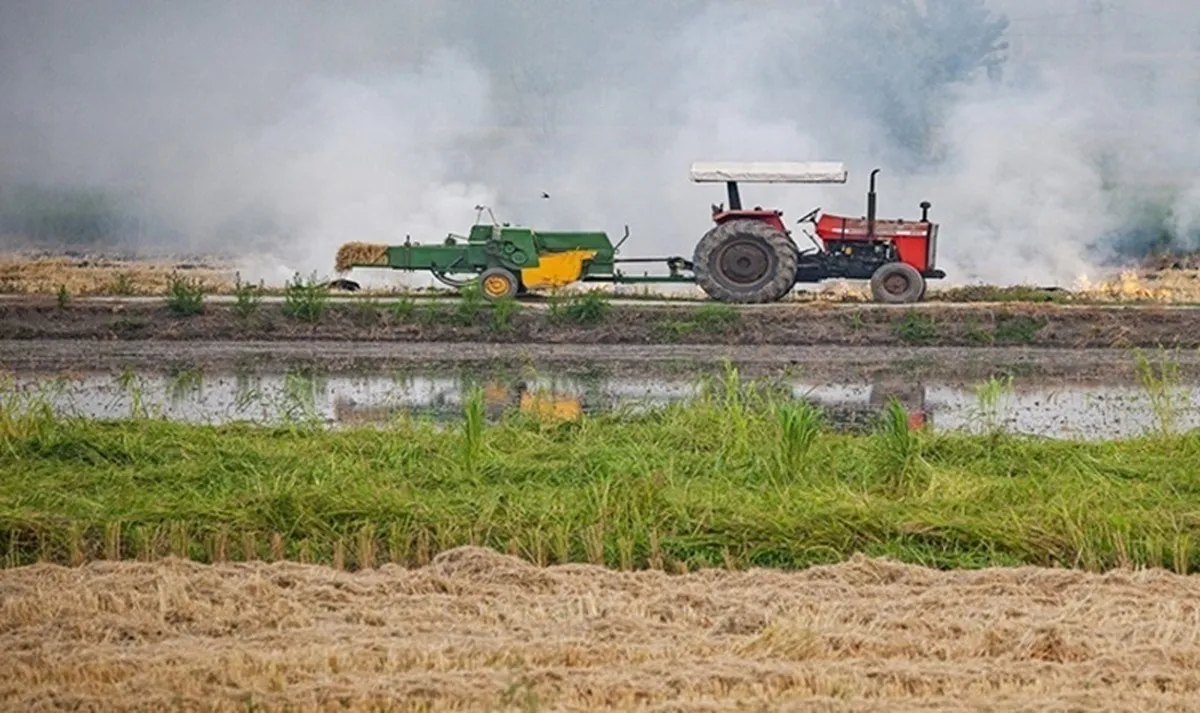 حذف سازمان حفظ نباتات تهدیدی برای امنیت غذایی کشور