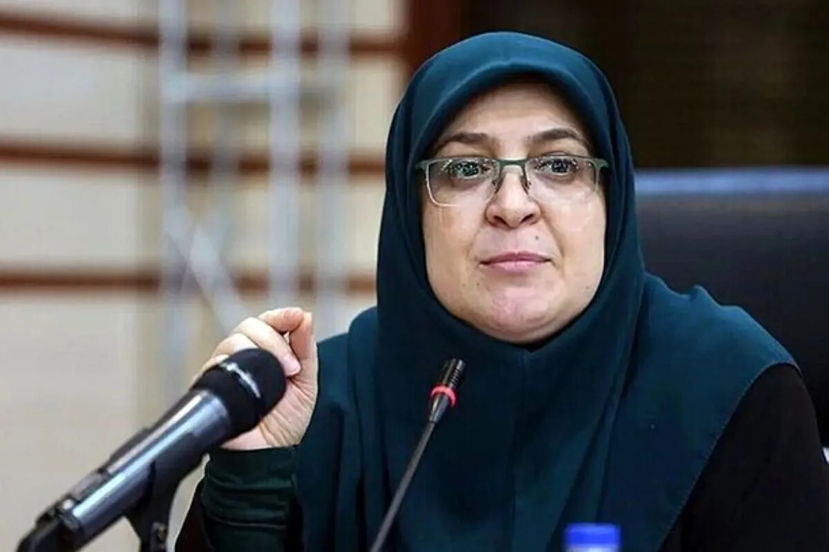 مهاجرانی: دولت مصمم به کوچک‌سازی و پاسخگویی به بخش خصوصی است