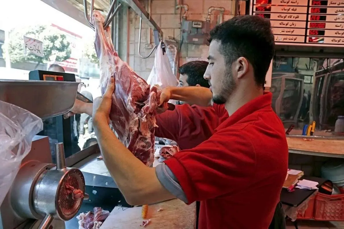 وضعیت امسال مراتع برای چرای دام عالی شد+ قیمت گوشت